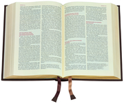 Die Bibel - Lutherübersetzung - Abbildung 1