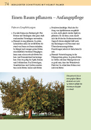 Obstbäume schneiden verblüffend einfach mit Helmut Palmer - Abbildung 5