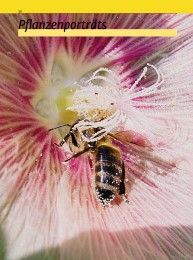 Bienenweide - Abbildung 3