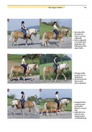 Reiten - anatomisch richtig und pferdegerecht - Abbildung 8
