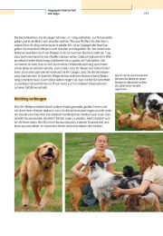 Vom Welpen zum Familienhund mit Natural Dogmanship - Abbildung 8