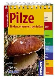 Pilze - Cover