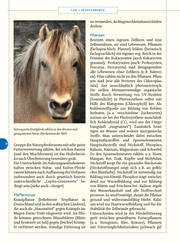 Futter-Lexikon Pferde - Abbildung 5