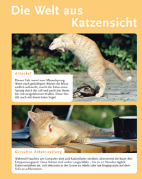 Katzensprache - Abbildung 2