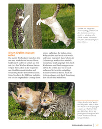 Katzensprache - Abbildung 6