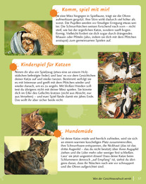 Katzensprache - Abbildung 8