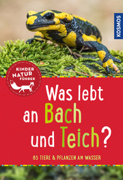 Was lebt an Bach und Teich? - Cover