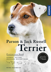 Parson & Jack Russell Terrier