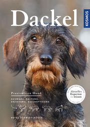 Dackel - Cover