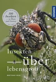 Insekten überlebensgroß - Cover
