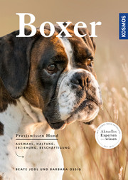 Boxer - Cover