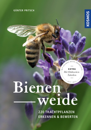 Bienenweide - Cover