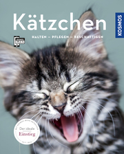 Kätzchen - Cover