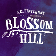 Reitinternat Blossom Hill - Stürmischer Start - Abbildung 1