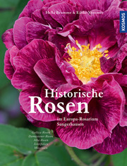 Historische Rosen 1