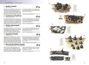 Das Kosmos-Handbuch Pilze - Abbildung 4