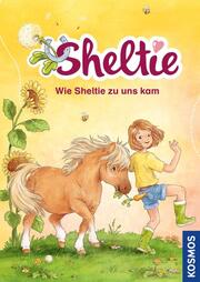 Sheltie - Wie Sheltie zu uns kam - Cover