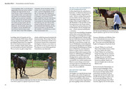 Sprachkurs Pferd - Das Trainingsbuch - Abbildung 2