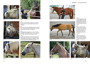 Sprachkurs Pferd - Das Trainingsbuch - Abbildung 3