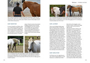 Sprachkurs Pferd - Das Trainingsbuch - Abbildung 4