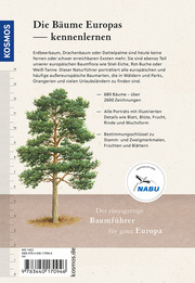 Der Kosmos-Baumführer Europa - Abbildung 1