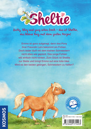 Sheltie - Sheltie und das kleine Fohlen - Abbildung 5