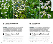 BASIC Blumen - Abbildung 2