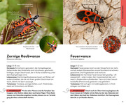BASIC Insekten - Abbildung 2