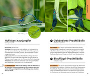 BASIC Insekten - Abbildung 3
