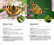 BASIC Insekten - Abbildung 4
