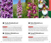 Basic Alpenblumen - Abbildung 3