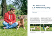 Sprachkurs Hund mit Martin Rütter - Abbildung 1