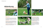 Hundetraining mit Martin Rütter - Illustrationen 3