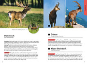 Naturführer Tiere und Pflanzen deiner Heimat - Abbildung 1