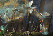 Das Ameisenkollektiv - Abbildung 2