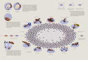 Das Ameisenkollektiv - Abbildung 4
