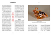 Insekten - Heimliche Herrscher - Abbildung 3
