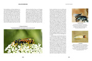 Insekten - Heimliche Herrscher - Abbildung 4