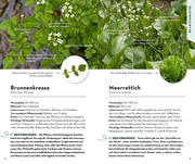 Basic Heilpflanzen - Abbildung 1