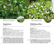Basic Heilpflanzen - Abbildung 2