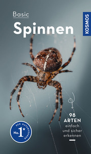 Basic Spinnen - Cover