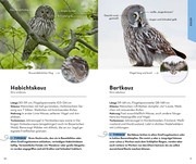 Basic Greifvögel und Eulen - Illustrationen 2