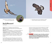 Basic Greifvögel und Eulen - Illustrationen 3