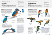 Das NABU-Vogelbuch - Abbildung 4