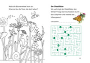 Lesen lernen mit Naturrätseln - Insekten & Spinnen - Abbildung 1