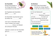 Lesen lernen mit Naturrätseln - Insekten & Spinnen - Abbildung 3