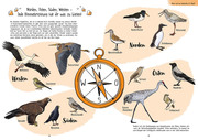 Birding für Ahnungslose - Abbildung 2