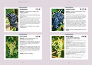Wein im Garten anbauen & ernten - Abbildung 4