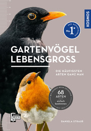 Gartenvögel lebensgroß - Cover