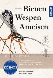 Bienen, Wespen, Ameisen - Cover